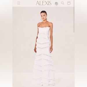 ALEXIS Reeve Dress XS